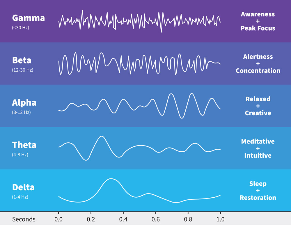Brain Wave Graphic Brain Wave Graphic
